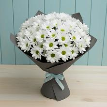 Букет цветов из:  Хризантемы #REPLACE_PRED# Насадкино