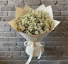 Букет цветов из:  Ромашки #REPLACE_PRED# Насадкино